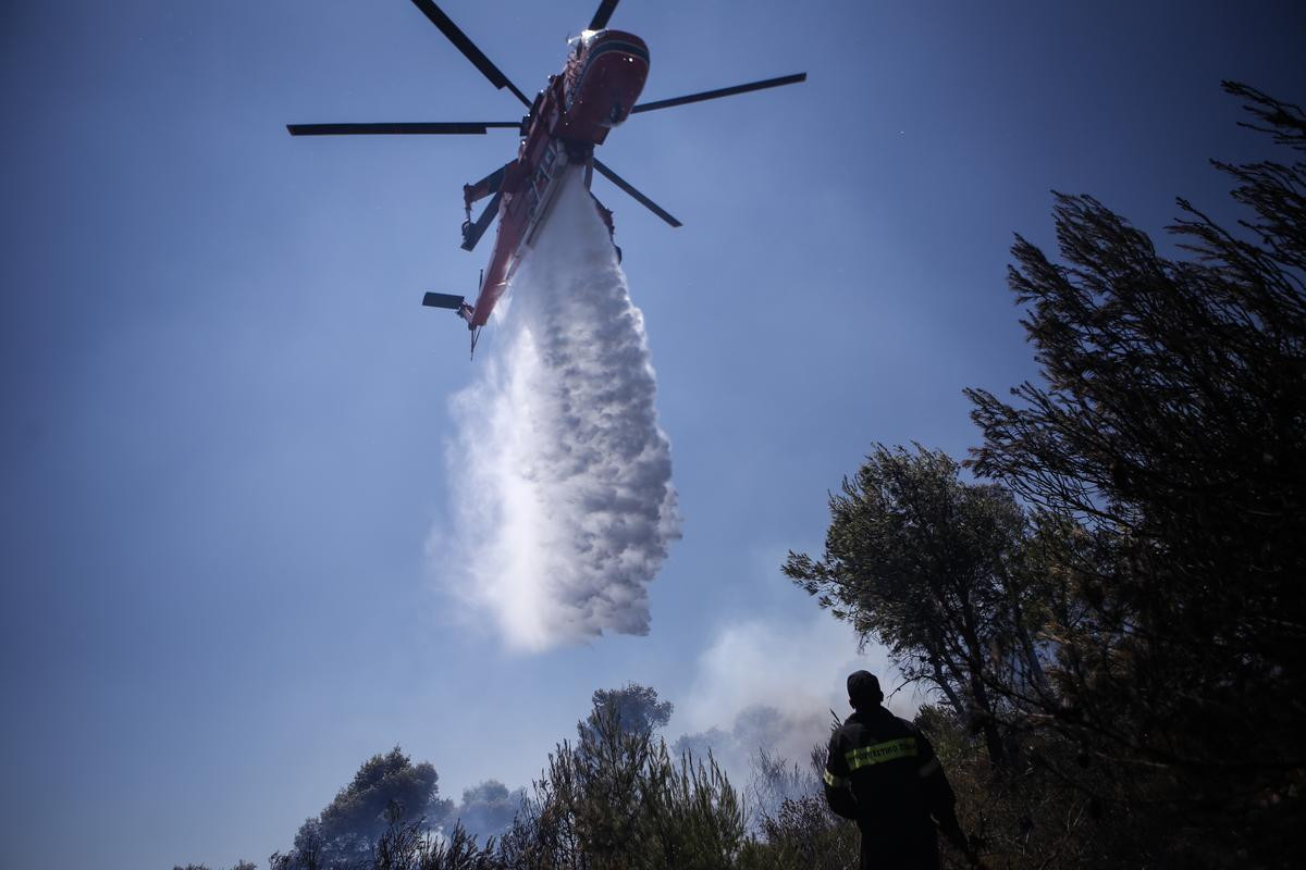 Μεγάλη φωτιά στο δάσος του Αχέροντα (εικόνα)